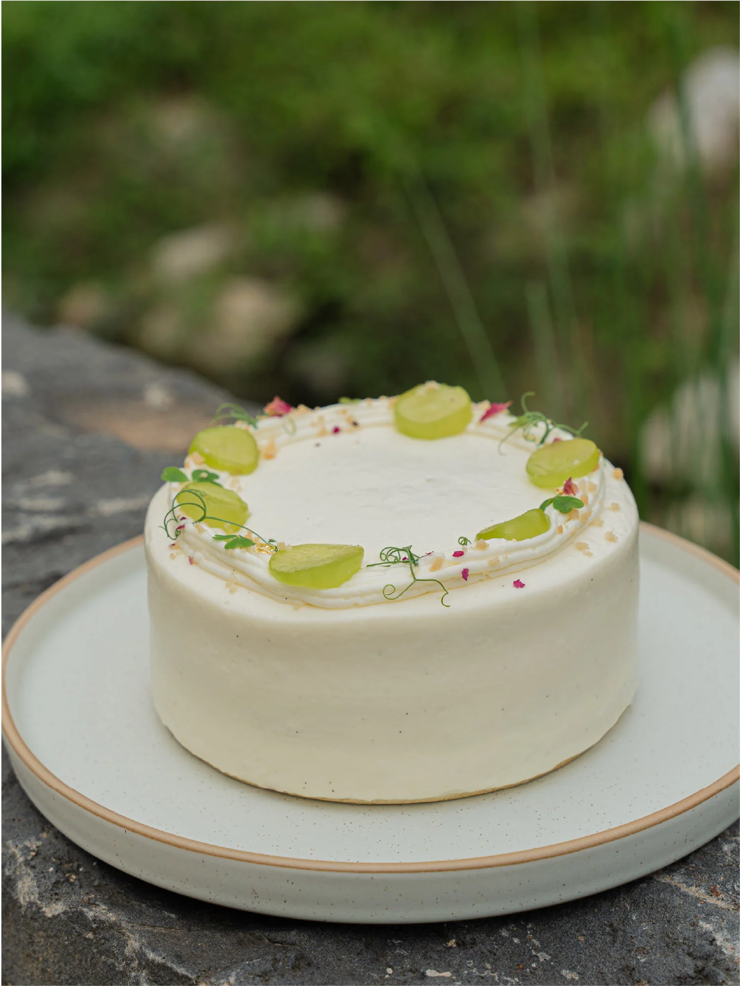 Classic Cakes (Party Size) - Image 12