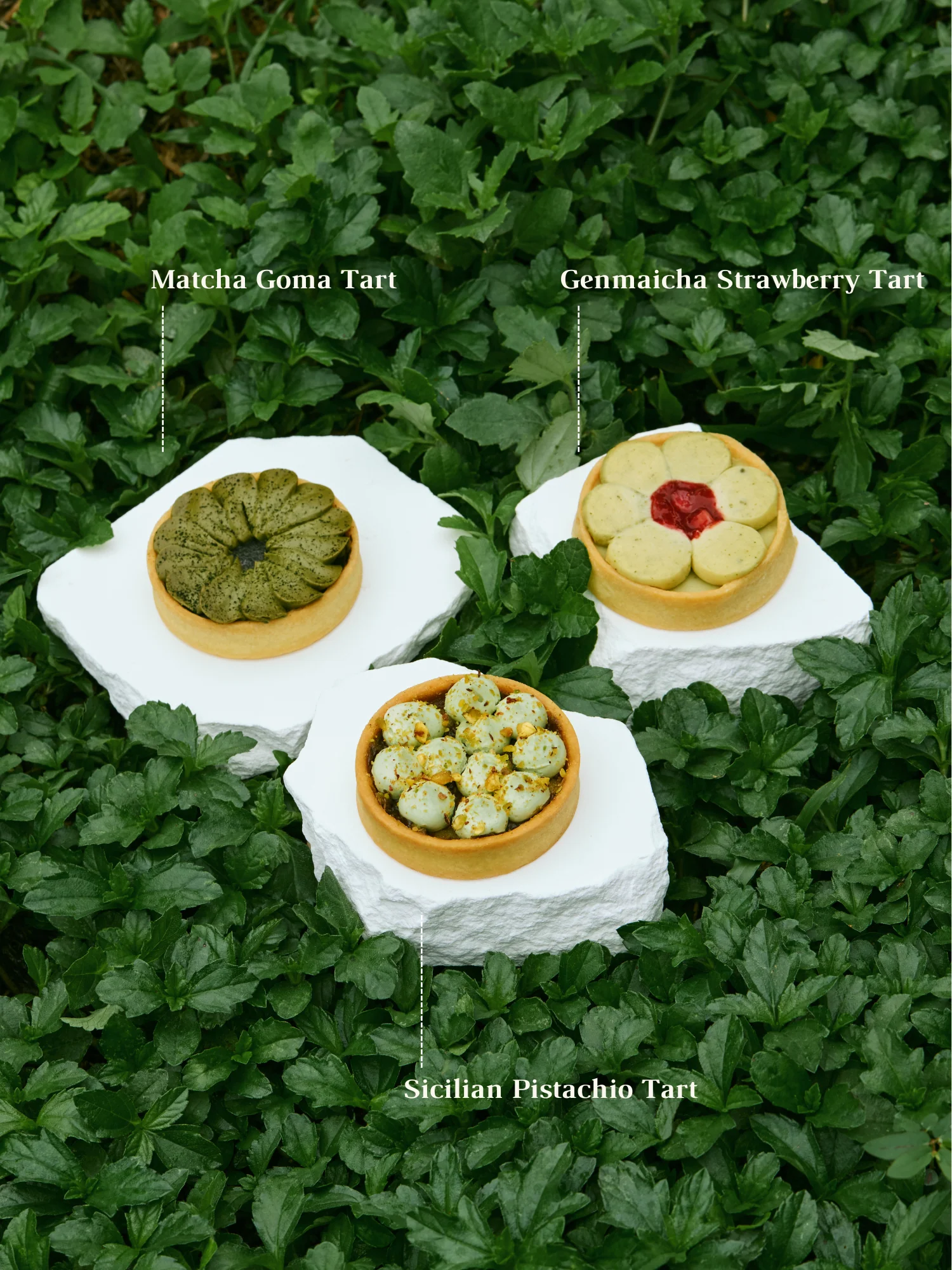 Earthy Assorted | Assorted Tarts Box - Image 4